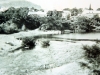 noemia-3